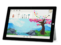 绥芬河Surface 无法开启、Windows 无法启动或电池无法充电